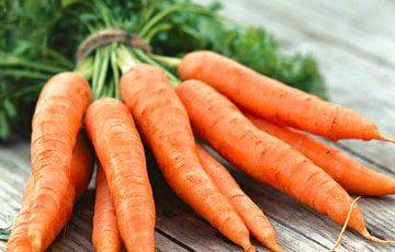 Ученые выявили новые полезные свойства моркови - charter97.org - Англия - Белоруссия
