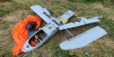 В Херсонской области уничтожили российский дрон Мерлин-ВР