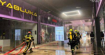 В Киеве произошел пожар в одном из ТЦ: спасатели эвакуировали около 200 человек (видео)