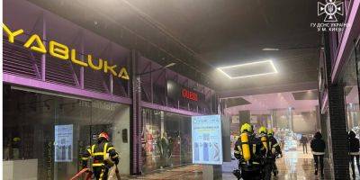 Пожар в киевском ТРЦ Cosmo Multimall устроил 7-летний мальчик — полиция
