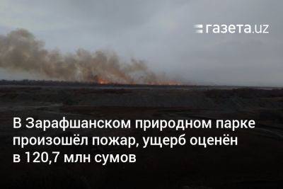 В Зарафшанском природном парке произошёл пожар, ущерб оценён в 120,7 млн сумов - gazeta.uz - Узбекистан