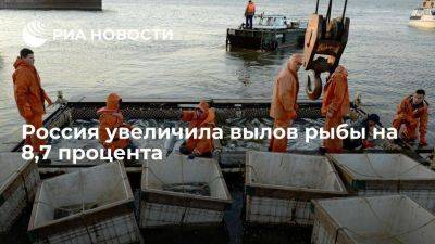 ВАРПЭ: Россия в 2023 году увеличила вылов рыбы на 8,7%, до 5,3 млн тонн