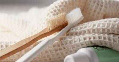 Как часто нужно менять зубную щетку: рекомендации стоматологов - focus.ua - Украина