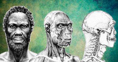 Отсутствующее звено эволюции: ученые исследовали останки старейшего разумного человека (фото)