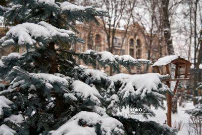 Мокрый снег и гололедица. Какой будет погода 16 января в Харькове и области