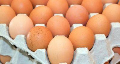 Экспорт яиц в прошлом году принес Украине 60,8 млн. долларов - cxid.info - Украина - Польша - Голландия - Сингапур