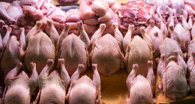 Срочно отзывают куриное мясо с прилавков Германии - cxid.info - Германия - Берлин