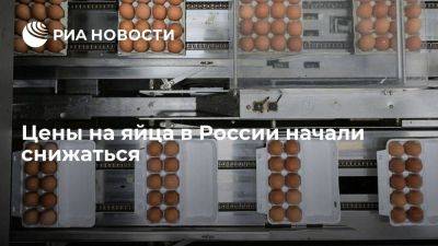 Цены на яйца в РФ снижаются, их можно найти уже дешевле 100 рублей за десяток
