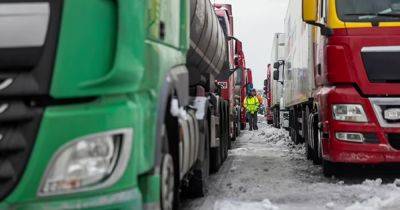 Правительство Польши договорилось с польскими перевозчиками: они приостанавливают блокаду границы с Украиной