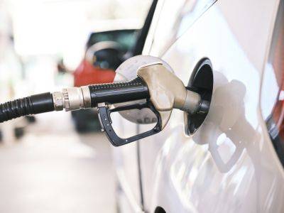 Попытка сдержать рост цен на бензин провалилась. В прошлом году топливо подорожало на 19%
