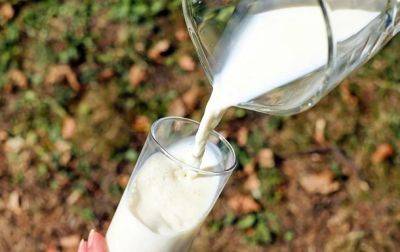 В Украине рекордно выросли закупочные цены на молоко