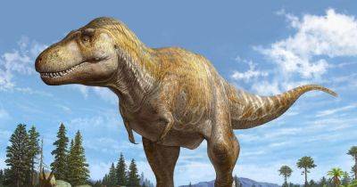 Ученые обнаружили новый вид тираннозавра: он старше Tyrannosaurus rex на 6 млн лет (фото)