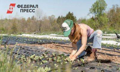 ВЦИОМ: треть молодых россиян задумываются о жизни и бизнесе в селе
