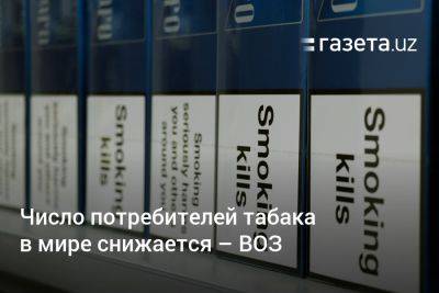 Число потребителей табака в мире снижается — ВОЗ - gazeta.uz - Узбекистан
