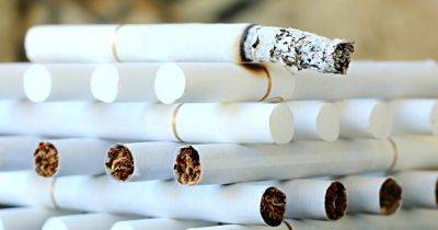 В ВОЗ подсчитали количество курильщиков в мире