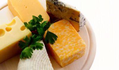 Такой продукт нельзя потреблять: как правильно хранить сыр, чтобы он не покрывался плесенью