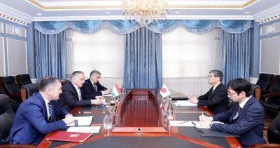 Таджикистан и Япония обсудили реализацию совместных проектов