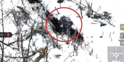«Теперь мы видели все». Оккупант пытался сбить украинский дрон из противотанкового гранатомета — видео