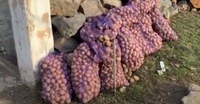 Идеально подходит для села и для перевозки картошки: как выглядит огородный пикап Honda на гусеницах