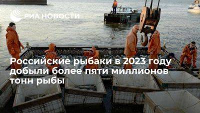 Росрыболовство: российские рыбаки в 2023 году выловили более 5,3 млн тонн рыбы