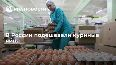 Росстат: яйца в РФ подешевели впервые с конца июня прошлого года