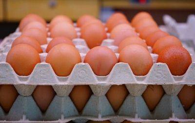 В России впервые за пол года подешевели яйца - на 0,2% - korrespondent.net - Россия - Украина - Белоруссия - Турция - Азербайджан