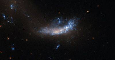 Телескоп Хаббл показал галактику со сверхновой: она ярче Солнца в 2,5 млрд раз (фото)