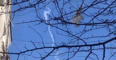 Взрывы, дым и самолеты-шпионы: в Севастополе и Саках шумно во время воздушной тревоги