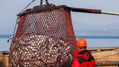 Российские рыбаки в 2023 году добыли более 5 млн т рыбы
