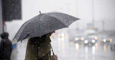 Погода в Украине 2 января: дождь с мокрым снегом, местами гололед (КАРТА)