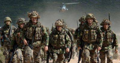 "Есть только 5-8 лет": НАТО следует готовиться к войне с Россией, — немецкий депутат