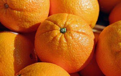 Как выбирать сладкие и спелые апельсины — полезные советы - planetanovosti.com - Индия - Washington