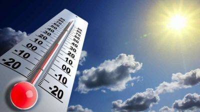 В прошлом году в Киеве зафиксировали почти полсотни температурных рекордов