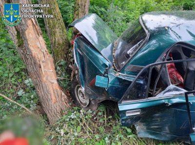 Пьяным въехал в дерево и погиб пассажир: на Харьковщине осудили водителя