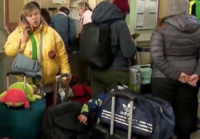 Более 200 тысяч грн на руки: украинским беженцам обещают целую гору денег, но есть условие