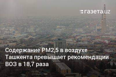 Содержание РМ2,5 в воздухе Ташкента превышает рекомендации ВОЗ в 18,7 раза