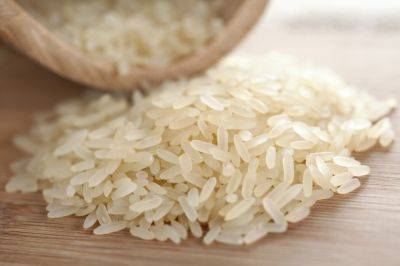 В Узбекистане опровергли информацию о завозе искусственного риса из Китая