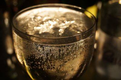 Одесский винодел заплатит миллион за Просекко | Новости Одессы