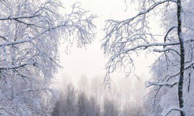 ​Погода в Украине - когда в январе будут морозы и потепление - прогноз на первую половину января