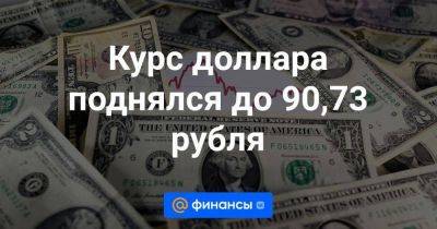 Курс доллара поднялся до 90,73 рубля