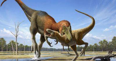Крошечные тираннозавры, бродившие по Земле вовсе не были детенышами: что обнаружили ученые (фото) - focus.ua - Украина - штат Оклахома