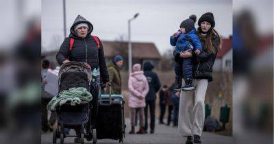 Вернулись домой: неожиданная статистика выезда беженцев из Украины за границу в 2023 году