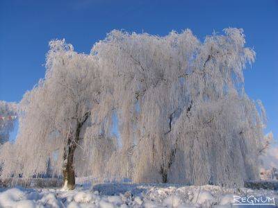 Снегопады в Украине – 7,8 и 9 января в Украине пройдут сильные снегопады – карты