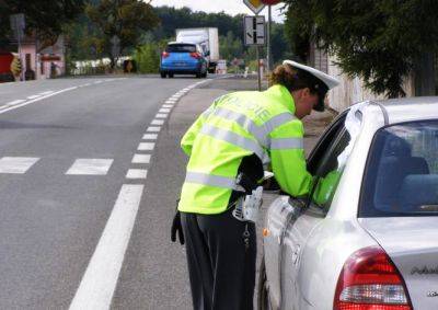 В Чехии водители больше не обязаны иметь при себе права - vinegret.cz - Чехия - Прага