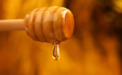 Дайте шанс "старичку": как вернуть свежесть старому меду