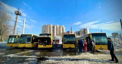 Недостаток мужчин: в Одессе на водителей автобусов начнут учить женщин