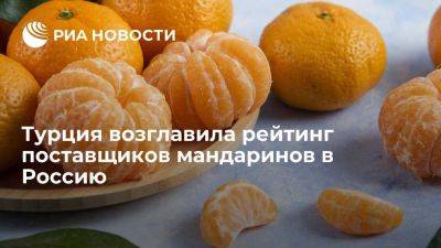 Руспродсоюз: две трети мандаринов привозят в Россию из Турции и Египта