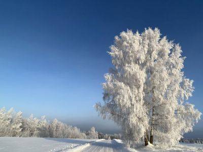 Сильные морозы и снег в Украине - когда и где будут в январе - карта погоды