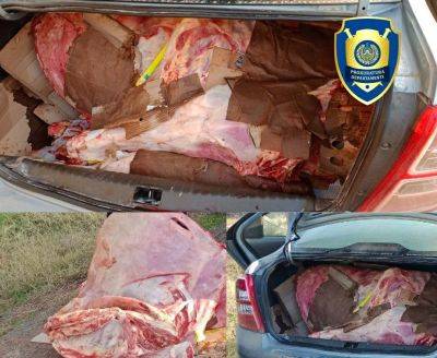 Прокуратура Кашкадарьи изъяла 225 килограммов непригодной к употреблению говядины