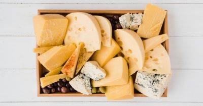 Как долго можно хранить сыр в холодильнике: рекомендации экспертов - focus.ua - Украина